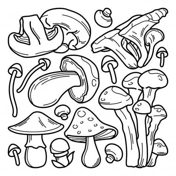 卡通画图片大全可爱，可爱卡通简笔画，微信头像（初学者必学的一组卡通简笔画）