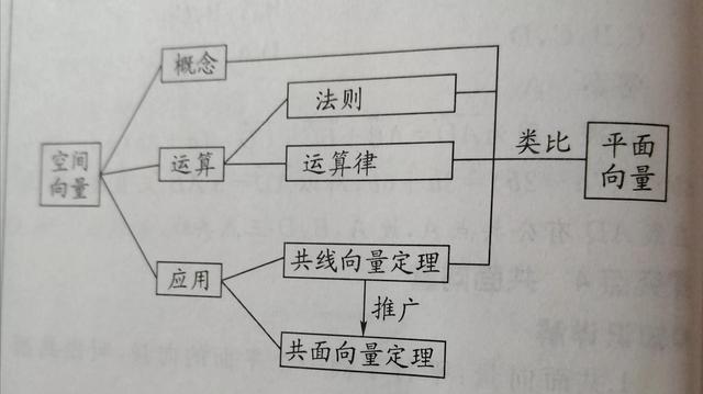 什么叫共线，什么叫共线性（梳理空间向量及其运算这一节的知识点）