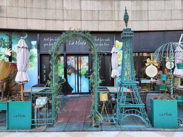 oppo手机声音突然变小是怎么回事，oppo手机音量变小了怎么办（推荐给真心喜欢折叠屏的用户）