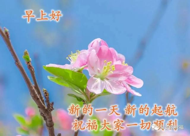 精选的祈福的话语大全，有关祈福的句子（愿苍天保佑人间无险）