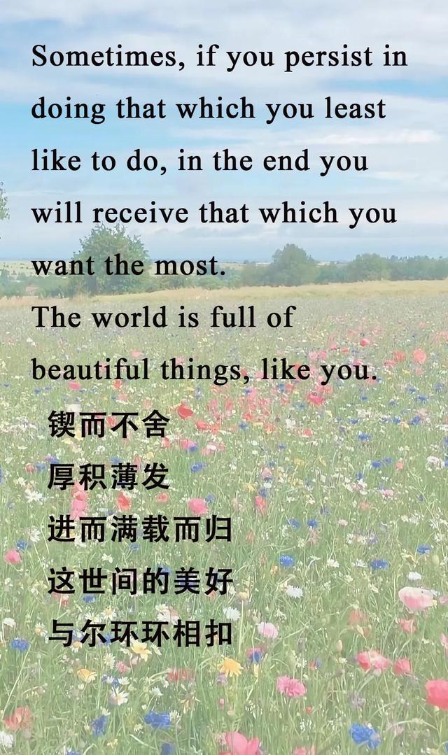 斯人若彩虹遇上方知有,斯人若彩虹遇上方知有是什么意思(那一段英文