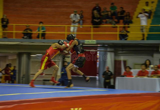 古典舞的基本手位具体有哪些，古典舞基本手位教学视频（究竟什么是“散打”“散手”）