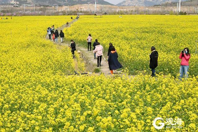 青岛周边郊区旅游，青岛周边郊区旅游景点（跟着十条乡村旅游主题线路）