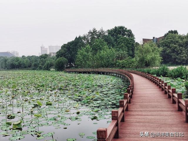 数伏吃什么_数伏饮食禁忌，数伏天不能吃什么（三伏天怎样吃防止疾病发生）