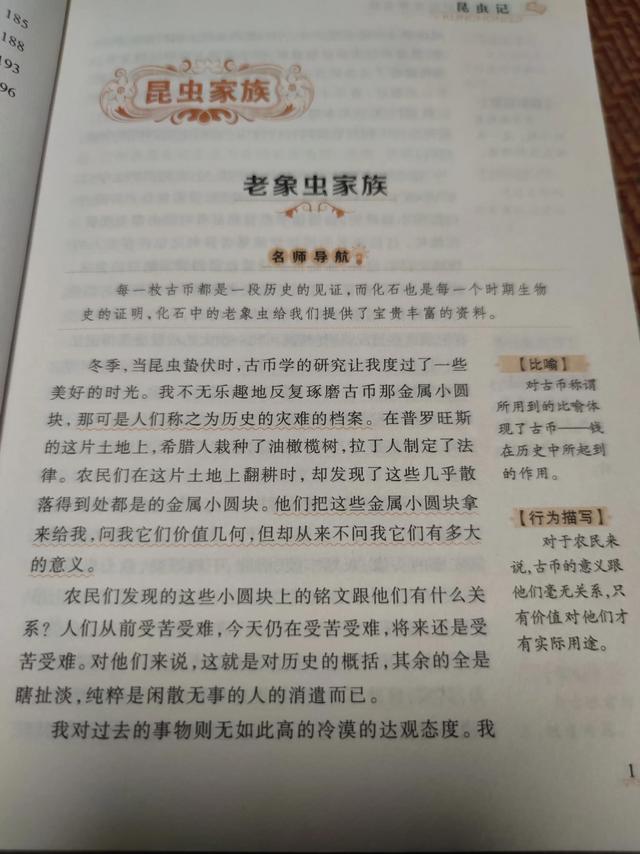 老象虫的外形特点，老象虫外表有何特点（一起读书——《昆虫记》）