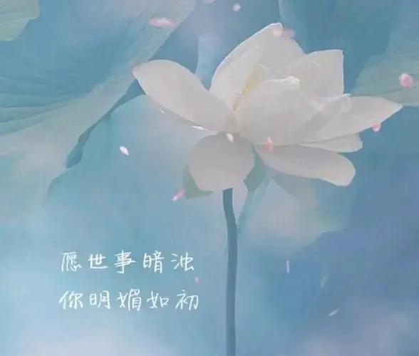 享受一个人的心情说说，享受一个人的生活说说（微信悠闲简单的心情说说）