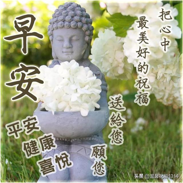 花语大全祝福，花语大全祝福成语（每天早上好祝福语短语）