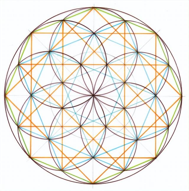 花朵的构造有哪些，花朵的组成结构（暴力拆解花朵的几何结构）