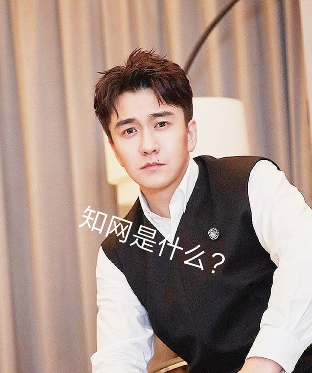 明朗少女成功记国语，张娜拉演的电视剧（“祸从口出”的5位明星艺人）