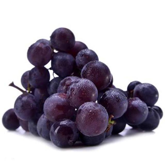 狗狗能吃糯米吗，狗狗最忌讳吃什么食物（这些东西可要小心了）