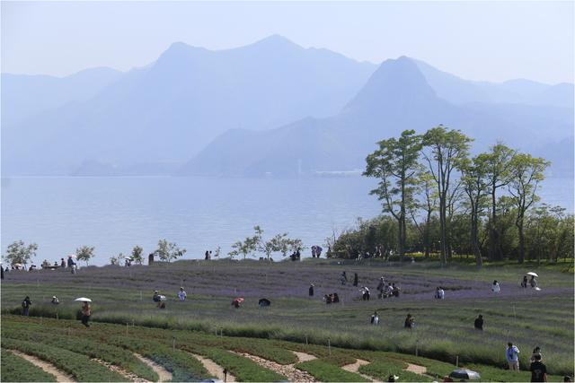 抚仙湖旅游，抚仙湖旅游攻略（胡言摄影抚仙湖16年的50幅照片）
