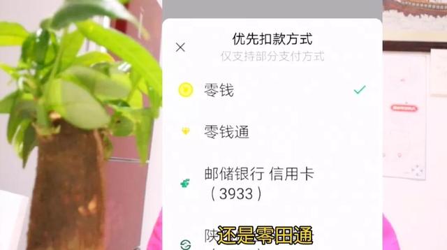 新微信号怎样开通微信支付，新微信号怎样开通微信支付码（微信里没有零钱未绑银行卡）