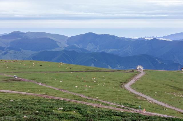 七八月份国内最佳旅游地方，七八月份国内最佳旅游地方溜娃（到这10个最佳旅游胜地）