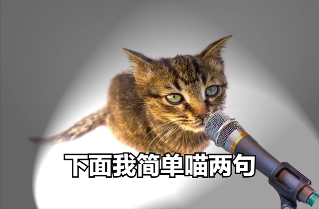 养猫有哪些好处这8点都被科学证实，原来养猫“好处”这么多