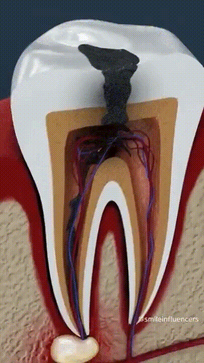 科普知识资料大全，科普小知识大全（45张有科普性动图带我们了解世界的真相）