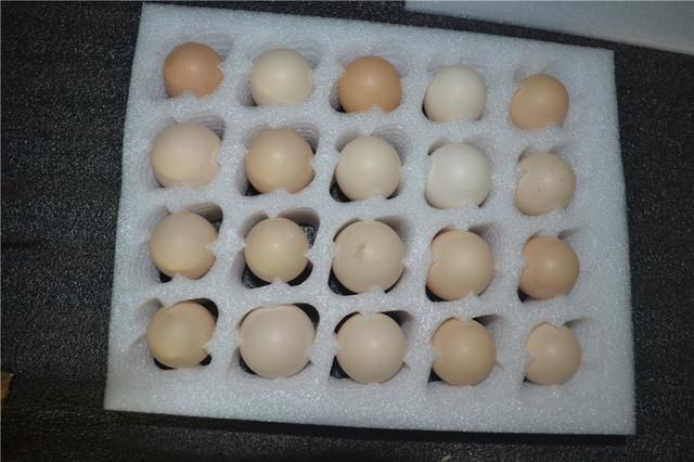 珍珠棉是什么材质，珍珠棉是什么材质做的（珍珠棉是什么）