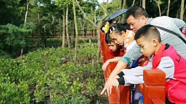 海口旅游景点，海口旅游景点地图全图（海口经典线路推荐）