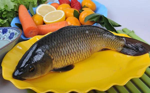 30种最常吃的家常鱼图片，多种常吃的家常鱼做法（中国十种常见的食用鱼）