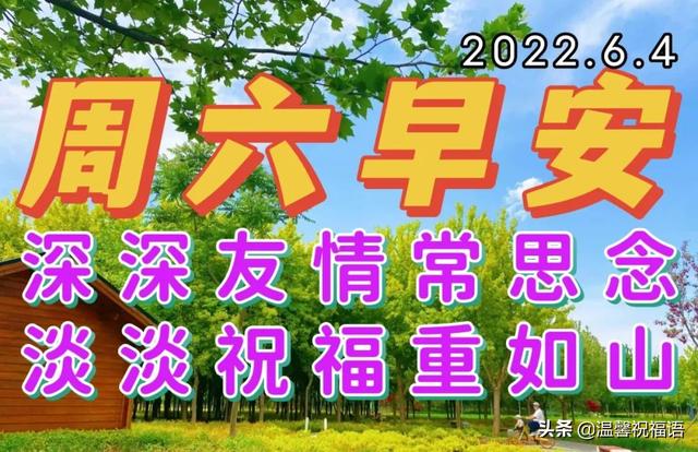 友谊祝福语简短，友谊祝福语简短8个字（淡淡祝福重如山；轻松问候心相连）