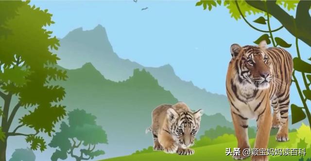 什么叫哺乳动物，什么叫哺乳动物怎么听一遍啊（<二十一>——强大的哺乳动物）