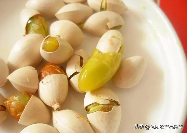 银杏树的介绍和特点，银杏树的介绍和特点+图片（秋风起银杏黄：明明白白吃白果）