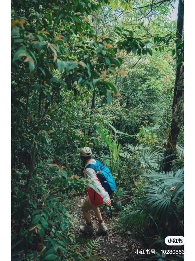 距离成都2小时小众的露营基地，成都近郊9个小众徒步露营耍水地