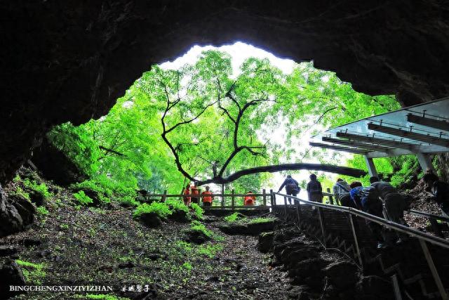 走进罕见的火山口地下森林，来一次夏日避暑惬意行