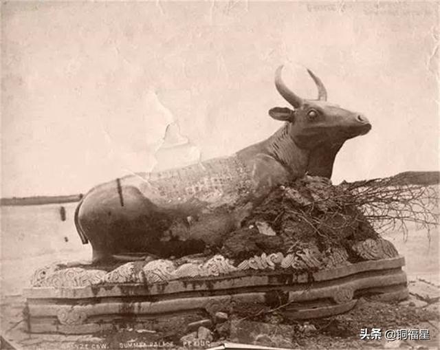 铜雕厂家盘点 三个厂家介绍，铜雕厂家盘点（铜牛.昆明湖畔铜牛.河北铜牛.铜雕生产厂家）