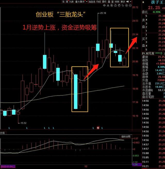 两会概念股（今年两会最大议题）