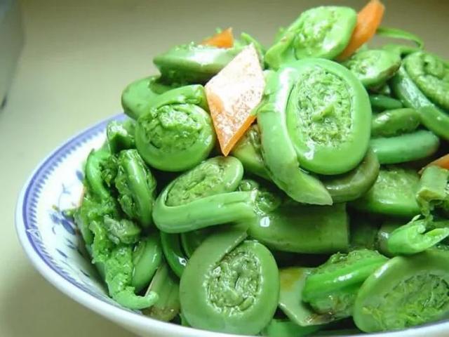 黄瓜香和蕨菜的区别，东北黄瓜香野菜是蕨菜吗（伴有黄瓜香味的野菜）