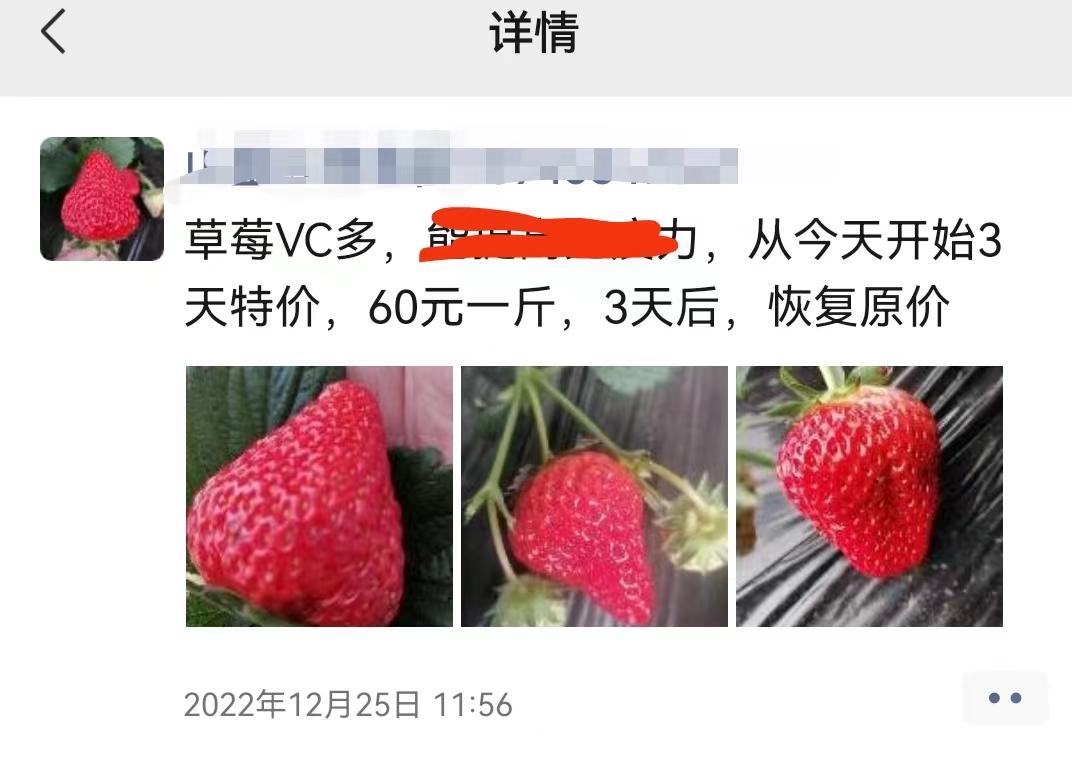 孕妇能不能吃草莓，孕妇可不可以吃草莓（60元1斤的时代已到头）