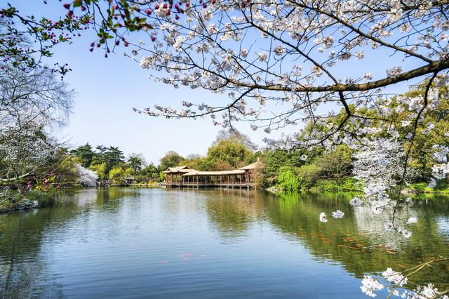杭州西湖十景最美的景色，最美“西湖十景”图文介绍