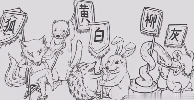 刺猬是什么仙，江苏钓鱼佬被黄鼠狼“打劫”