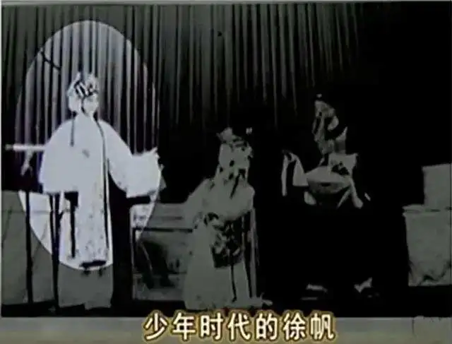 冯小刚老婆徐帆简介（徐帆当年这么红，为何还做第三者） 第21张