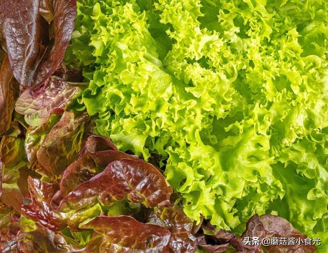 莴苣和莴笋是一样的吗，莴笋和青笋是一个东西吗（但莴笋和莴苣差别很大）