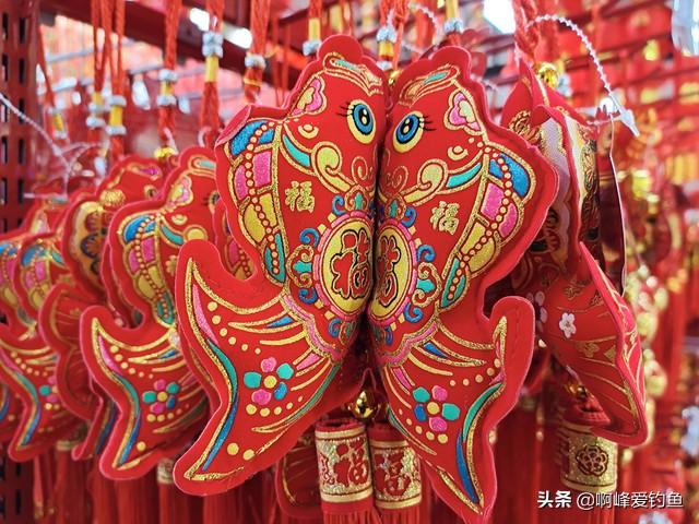 狗鱼：水中猛兽，外形凶悍捕食迅猛，淡水生态链顶端掠食者，令人敬畏的鱼类王者