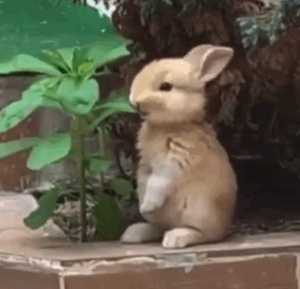 玩网大佬沙雕表情包必备，微信头像，玩网大佬沙雕表情包必备（网络沙雕表情）