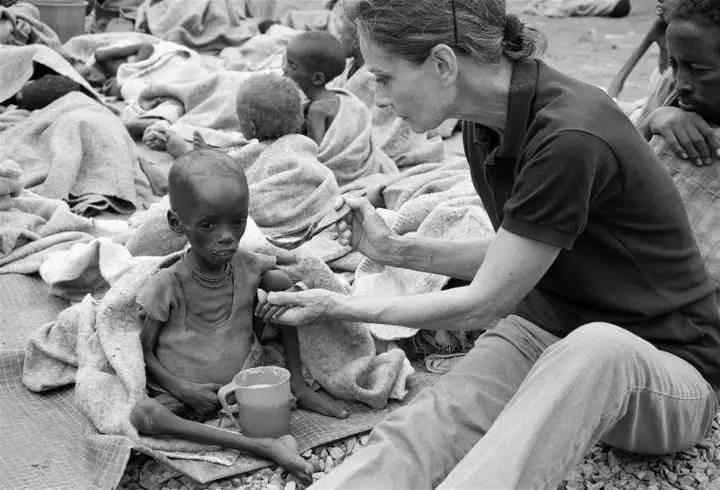 秃鹫图片(2013年) - 赤虎壹号