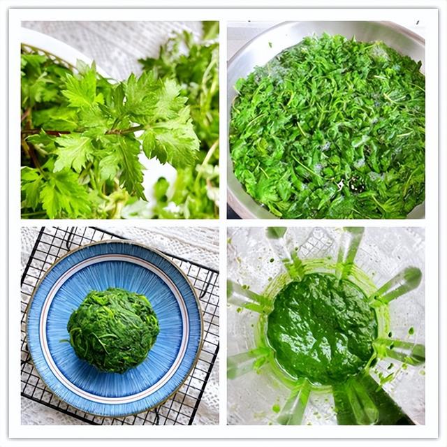 艾叶和艾草一样吗，干艾叶和湿艾叶功效一样吗（哪一种是你心中最好的味道）