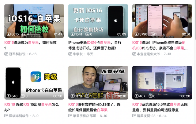 b站视频怎么保存在本地电脑，如何将bilibili缓存视频保存到电脑（iOS16值不值得更新）