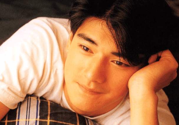 中国十大帅哥排名，中国的10大帅哥（10位巅峰时期的男星）