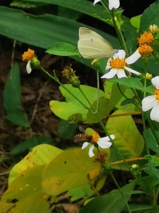 灵魂相似的人一旦相逢，灵魂相似的人一旦相逢是知心朋友（总有一天会在路上相逢）