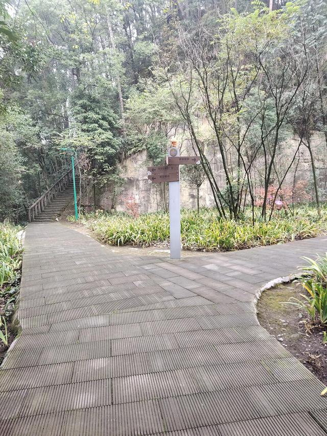 歌乐山森林公园，重庆旅游必去景点（歌乐山国家森林公园）