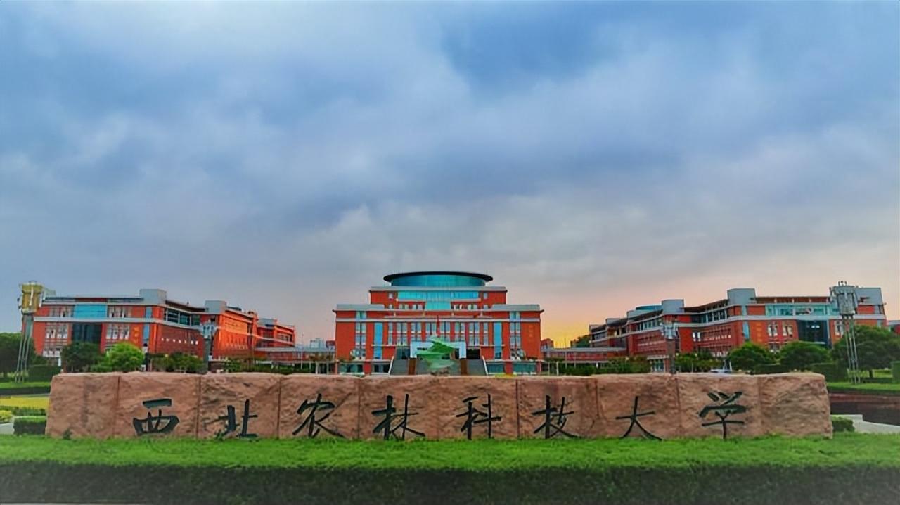 西北农林大学（高考）