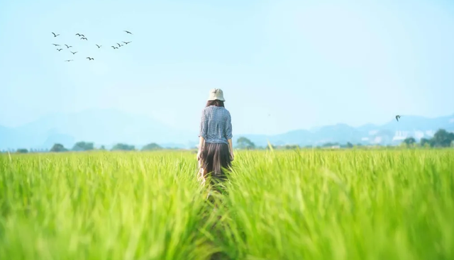 感情变淡了怎么办，恋爱谈久了感情变淡该怎么办呢（所有感情都是这样变淡的）