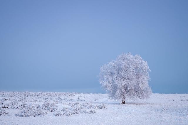 下雪时候的心情短语，下雪了关于心情的句子（适合下雪发的浪漫文案）