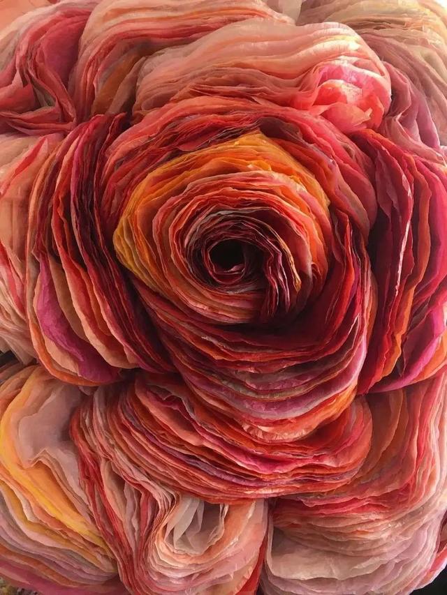 用卫生纸怎么做花，怎样用卫生纸做白花（她用纸种花，美成了童话）