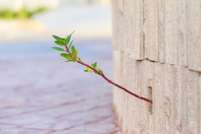 治愈鸡汤短句，治愈鸡汤文章（暖心的心灵鸡汤说说，治愈自己）