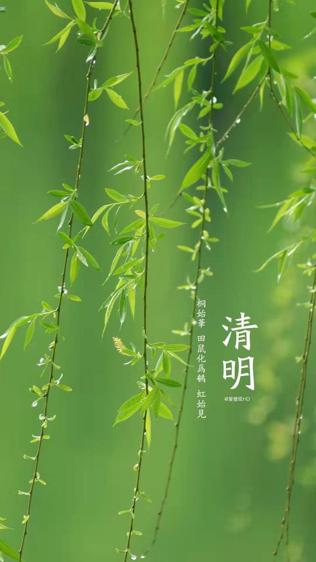 春天的节气有哪些春天有几个节气二十四节气春季篇