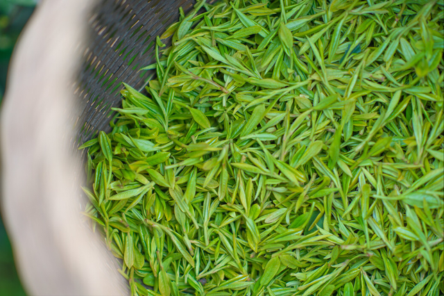 名茶排名前十的茶，10大名茶排名（你认为哪一种最好喝）